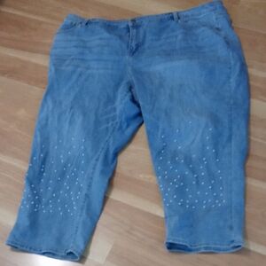 Lane Bryant Blue Denim Plus Size Mid-rise Jeans